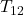 T_{12}